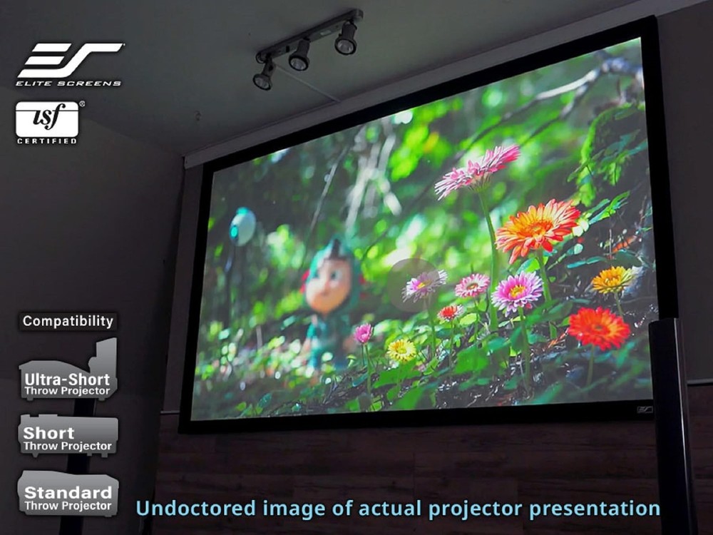 Elite Screens Sable Frame 2, 100-Inch Fixed Frame Projector Screen, 16:9 8K/4...