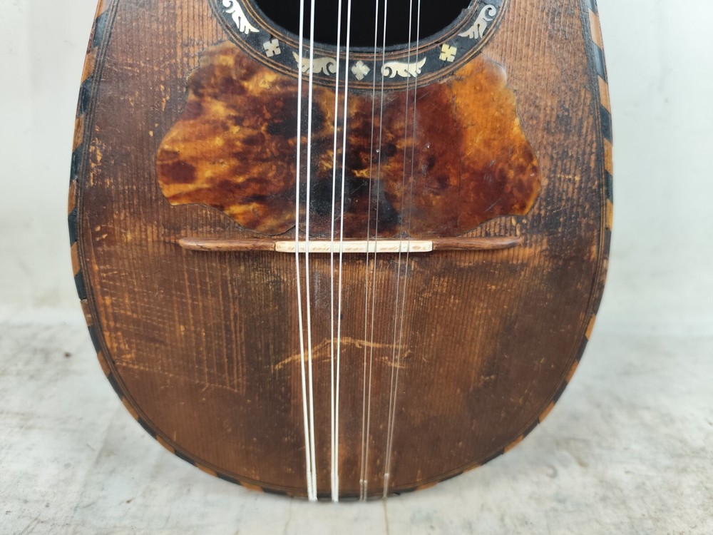 Mandolin 4/4 Strident 1930 Naples 曼陀林 만돌린マンドリン