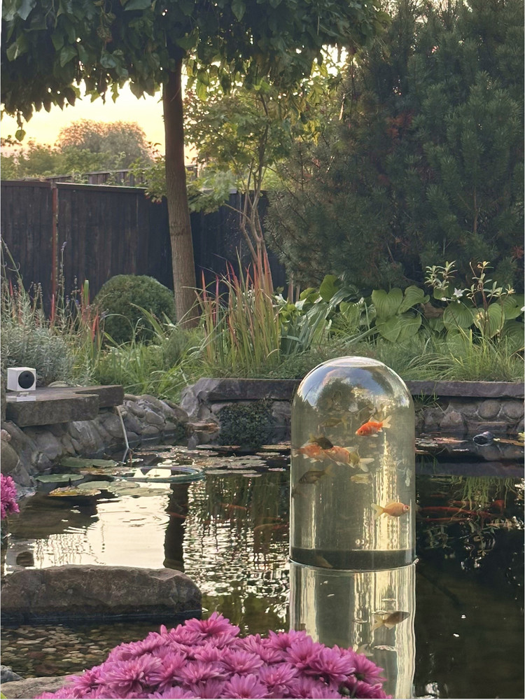 FishView