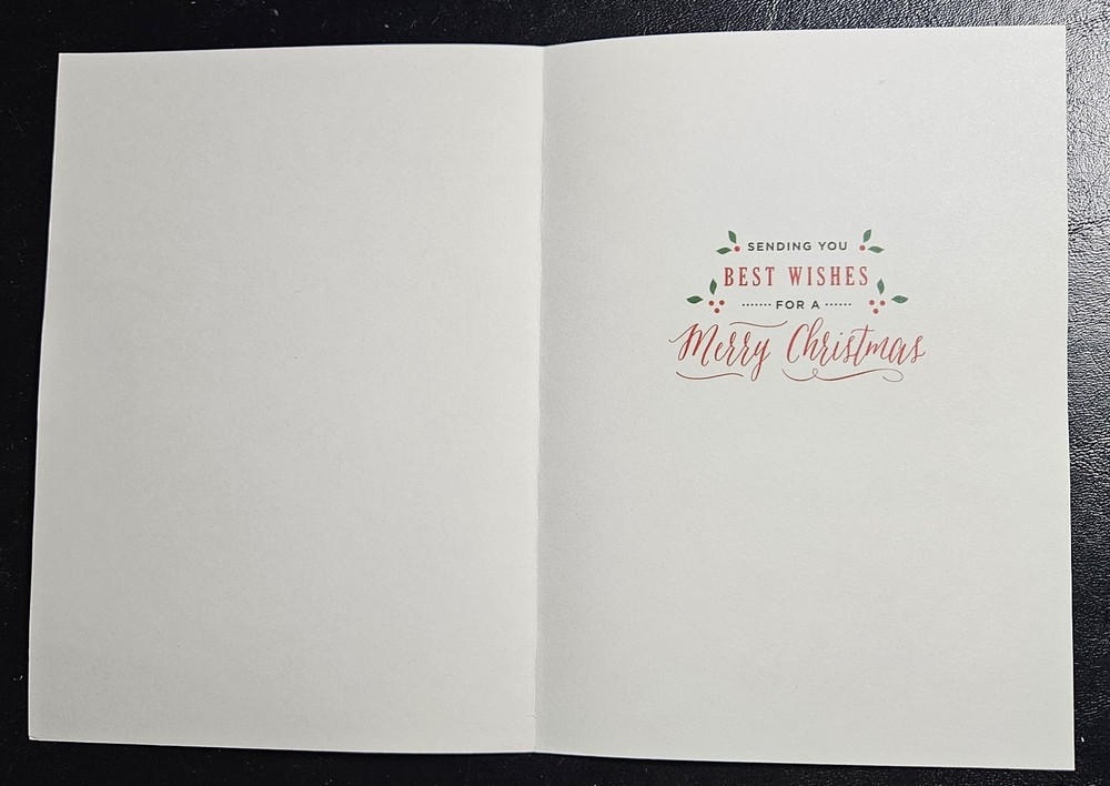 Anna Griffin Holiday Jacket Sentiment Inserts - 48 Double Sided 5x7