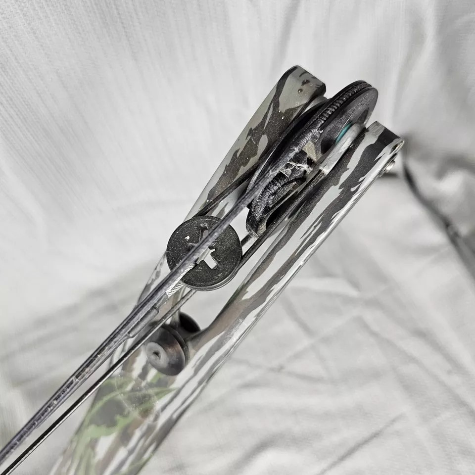 Bear Archery Cabela's Mag Express 46lb 31" Draw Compound Bow - LH