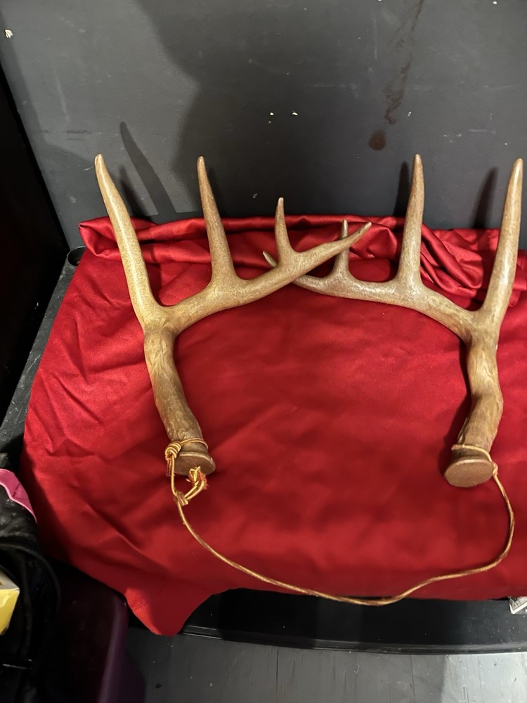 Faux Deer Antlers