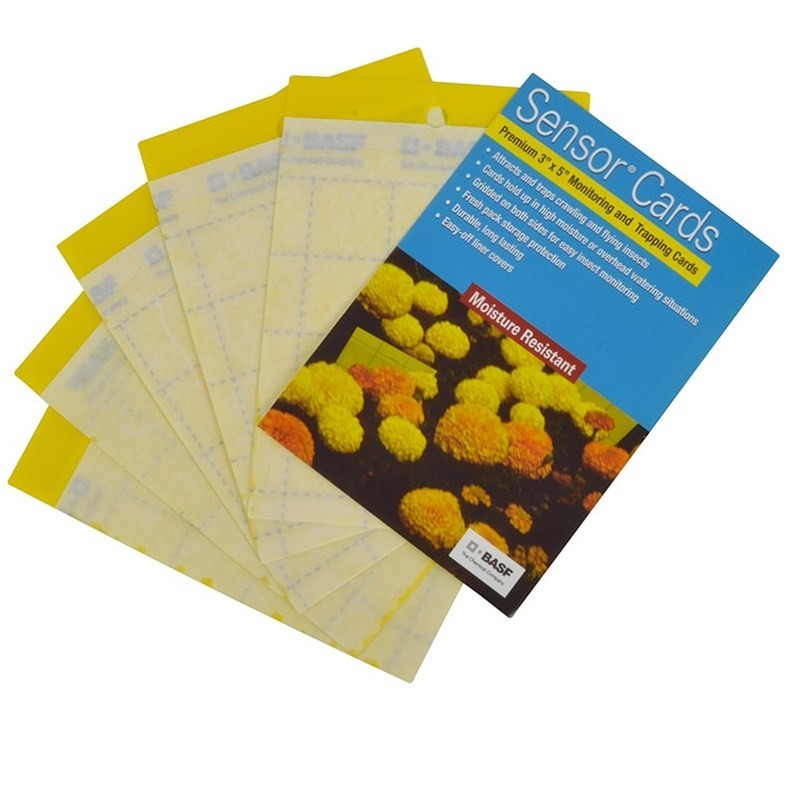 BASF Sensor Yellow Sticky Traps 50pk Aphids Thrips Whiteflies Gnats