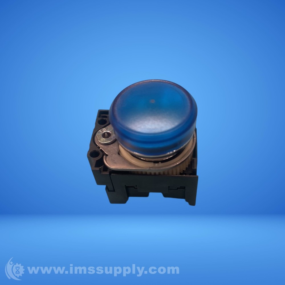 Blue Illuminated Push Button Indicator USIP