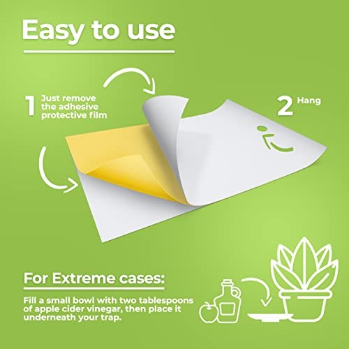 Fruit Fly Trap (20 Pack), Double-Sided Yellow Sticky Traps for Kitchen &