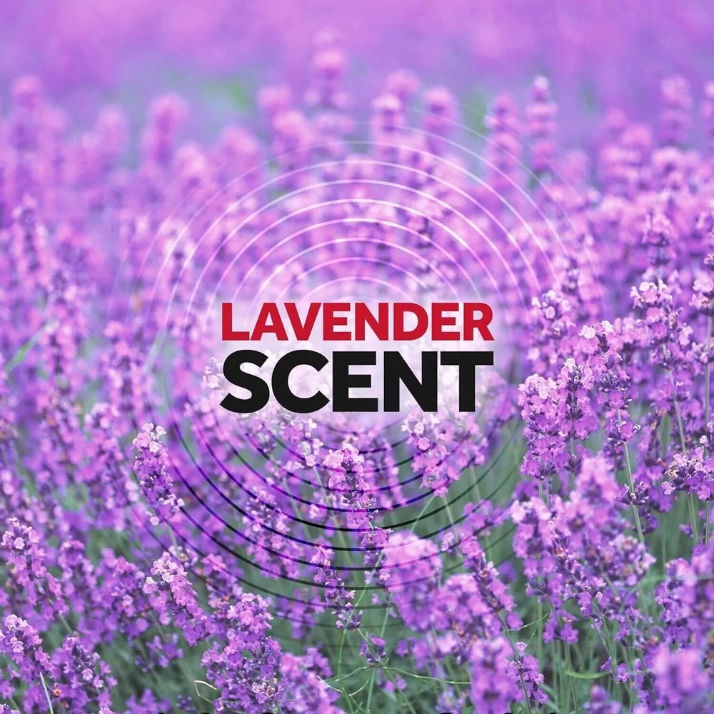 Raid Ant & Roach Killer Spray For Listed Bugs Lavender Scent, 17.5 oz