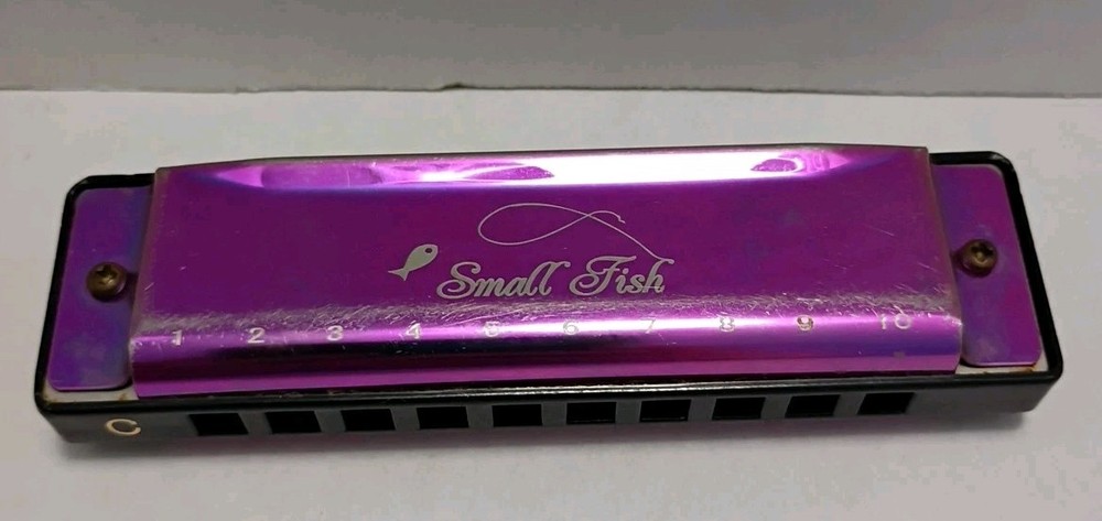 Small Fish Beginners Harmonica Harp 10 Hole Diatonic 10 Hole