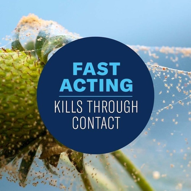 BIOADVANCED ORGANICS - TOMATO - VEGETABLE - FRUIT - INSECT CONTROL - KILLS FAST