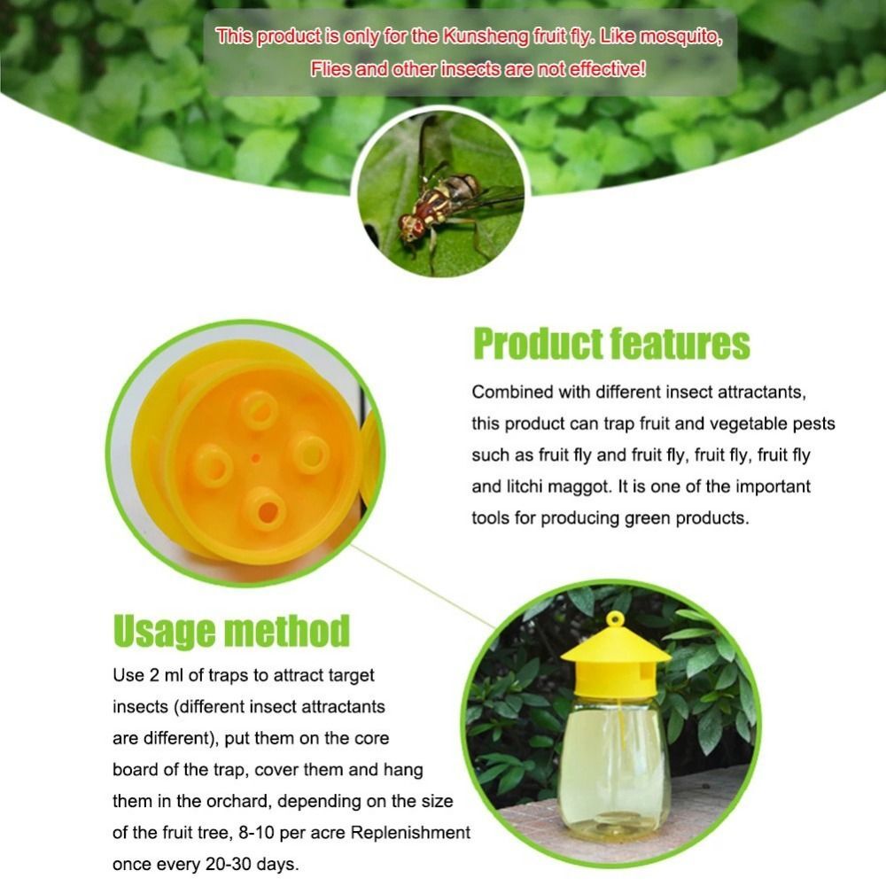 Fruit Fly Trap Killer Reusable Plastic Drosophila Trap Fruit Fly Trap Catcher