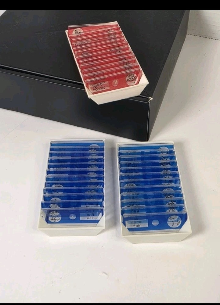 Prepared Microscope Slides (24) Educational Type Various Categories