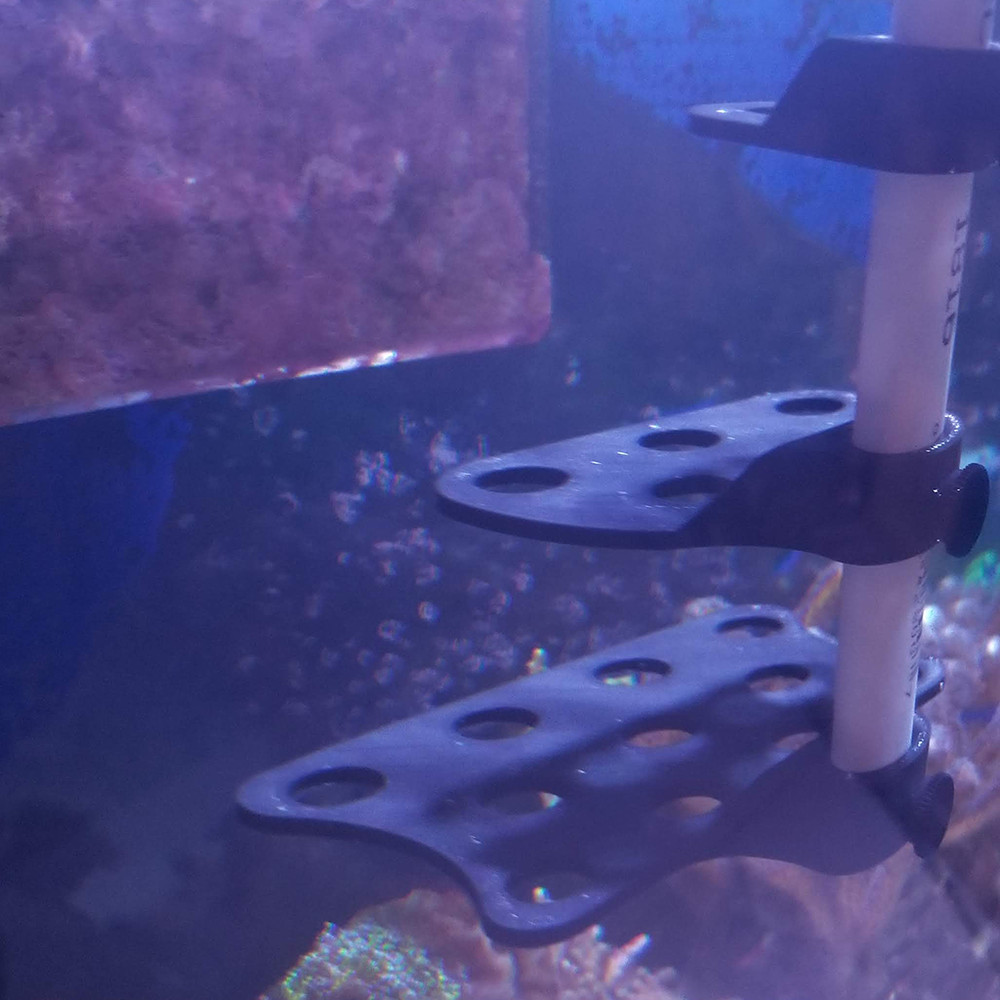 PVC Mountable Frag Rack Bundle Assembly - 3D Printed - Many Colors
