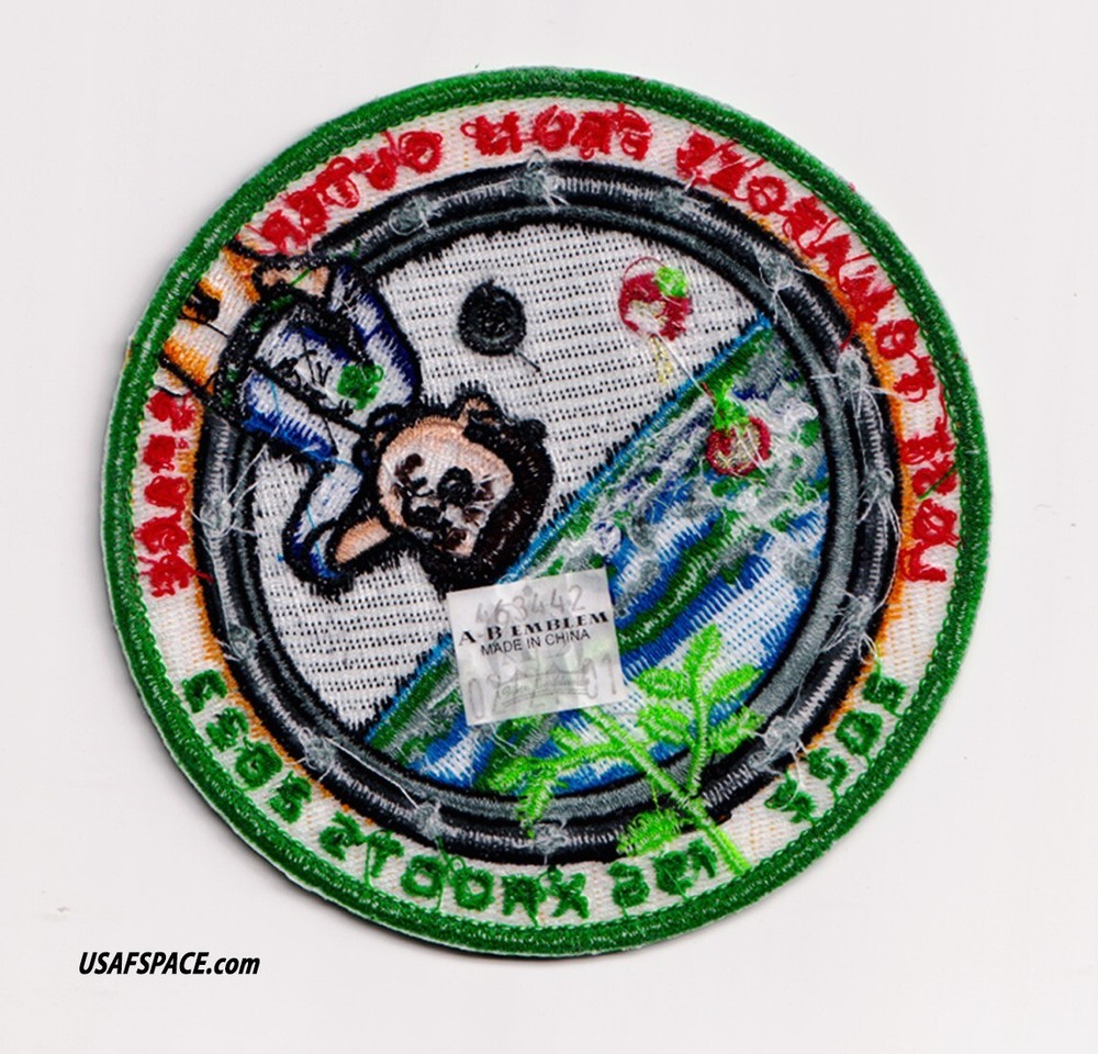 LOST TOMATOES FROM OUTER SPACE-ORIGINAL -AB Emblem Tim Gagnon-NASA SPACE PATCH