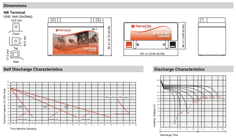 Champion 7A-BS SigmasTek Battery Replacement