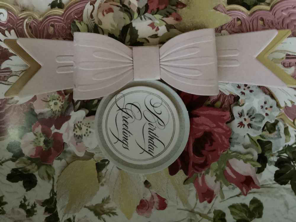 Anna Griffin Bow Cut and Emboss Folder