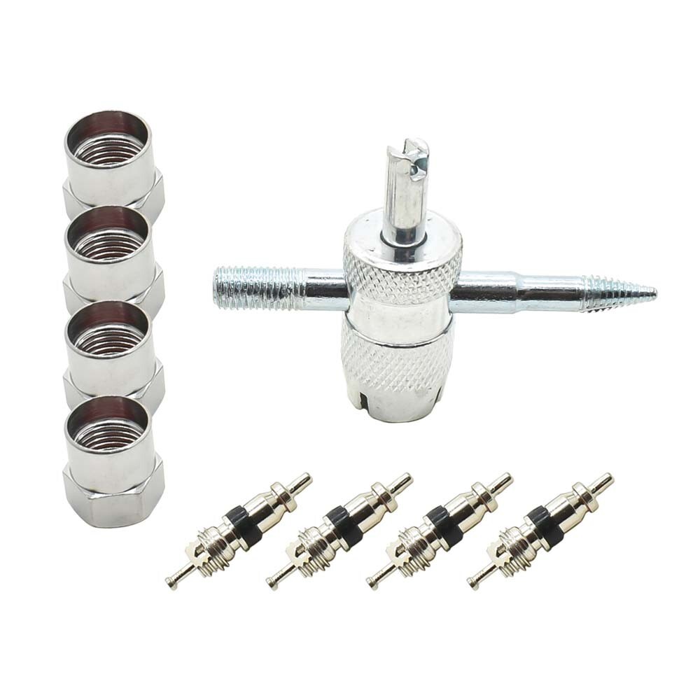Interstate Pneumatics TCT2 Tire Core Tool , 4 in 1 Multi-Purpose Kit