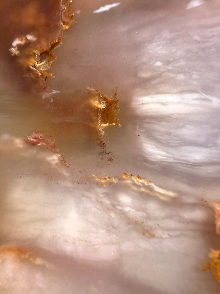 Lg Paiute Agate Slabs - 271 g