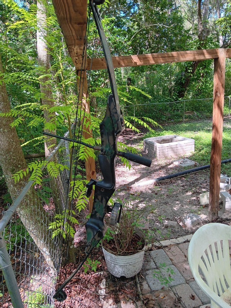 compound bow right hand