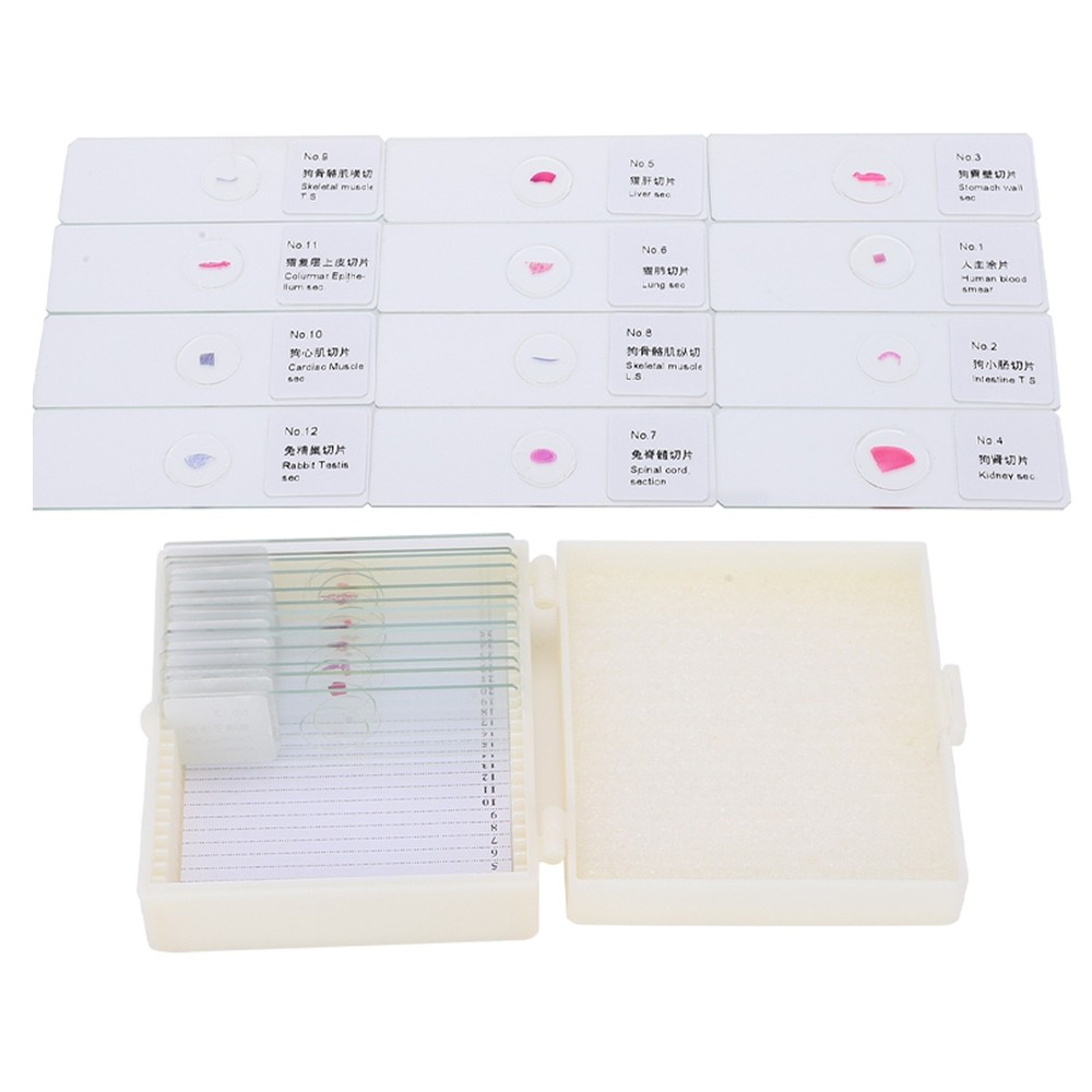 DW-25 25Pcs Animal Slide Set For Microscope Study Science Education