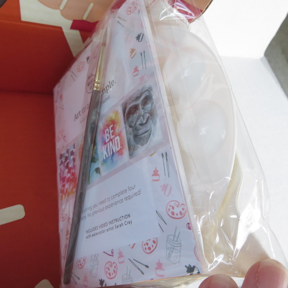 Ellen DeGeneres Fall 2020 Be Kind Box including wireless earbuds