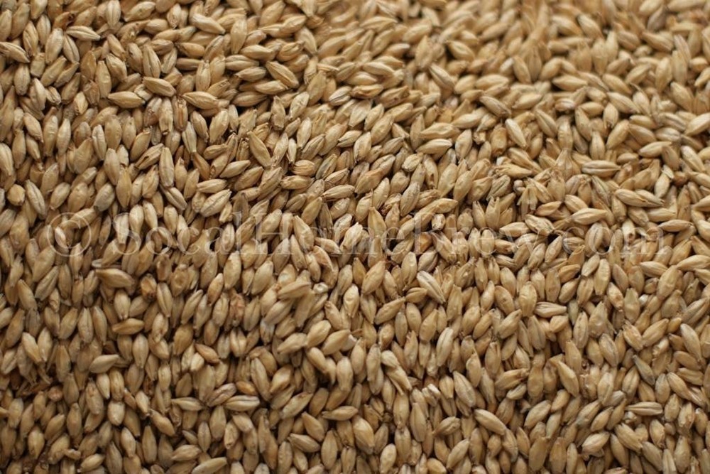 Rahr 2-Row 5 lb for Home Brew Beer Making