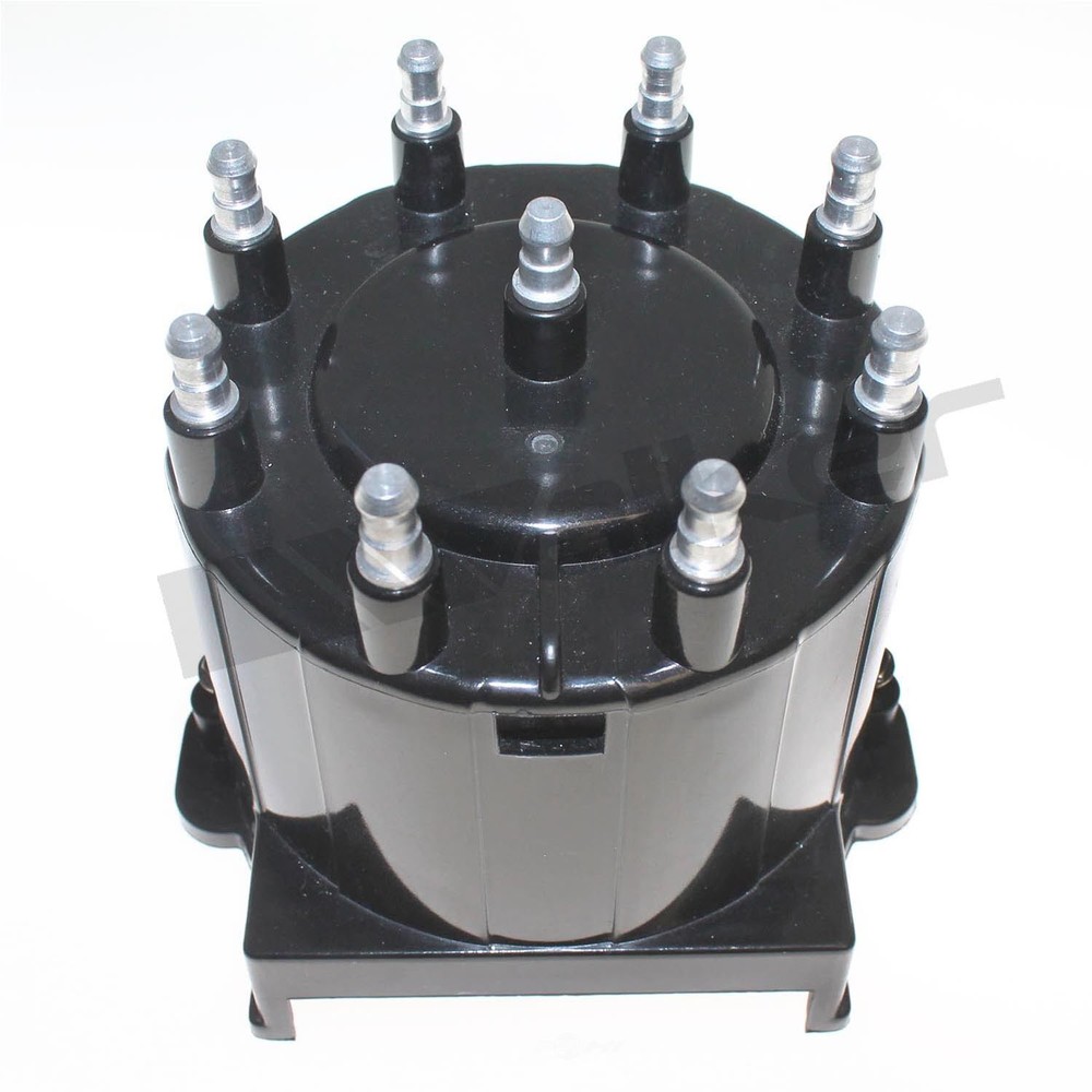 Dist Cap  Walker Products  925-1012
