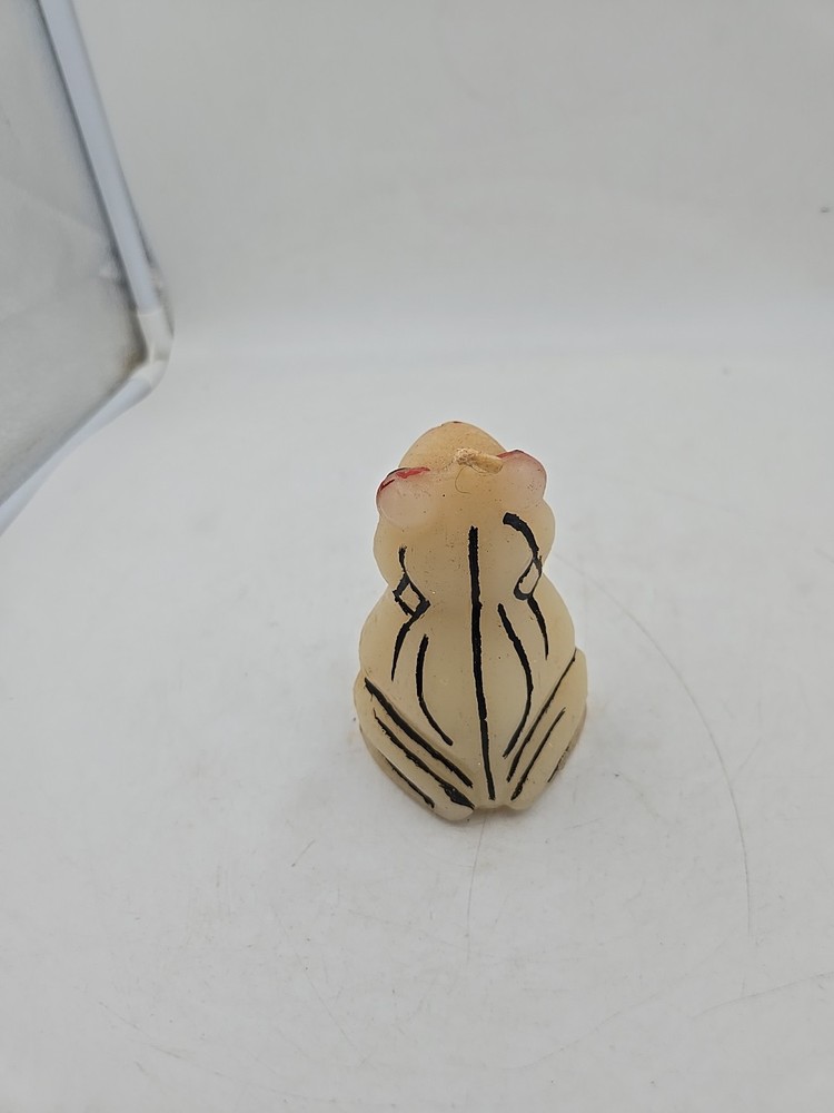 A Candle Of A Frog