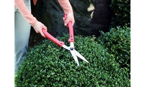 Ars Corporation Replaceable blade type