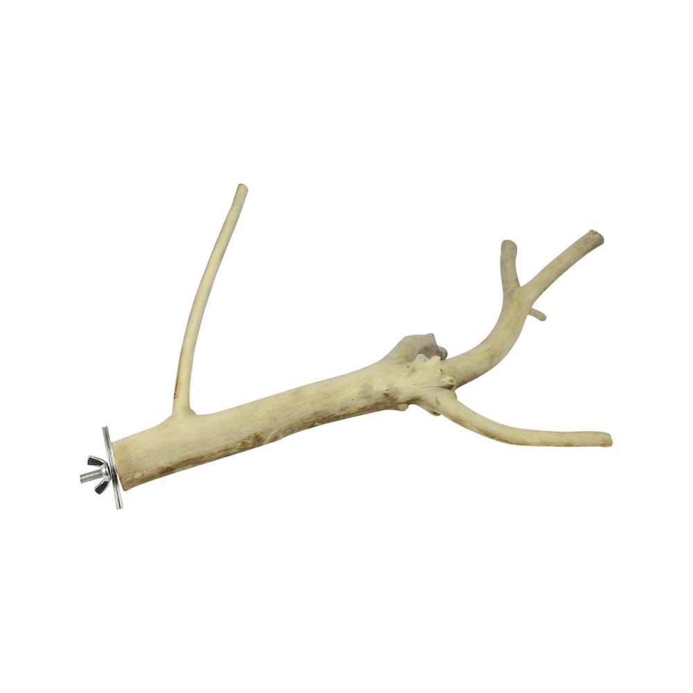 Multi-Branch Perch, Small - Durable Cage Accessory - Sugar Glider, Rat, Parrot