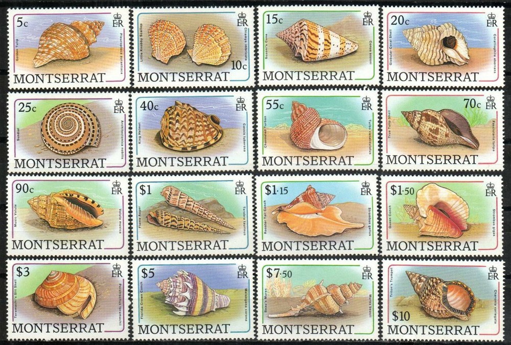 Montserrat Stamp 681-696 - Sea Shells