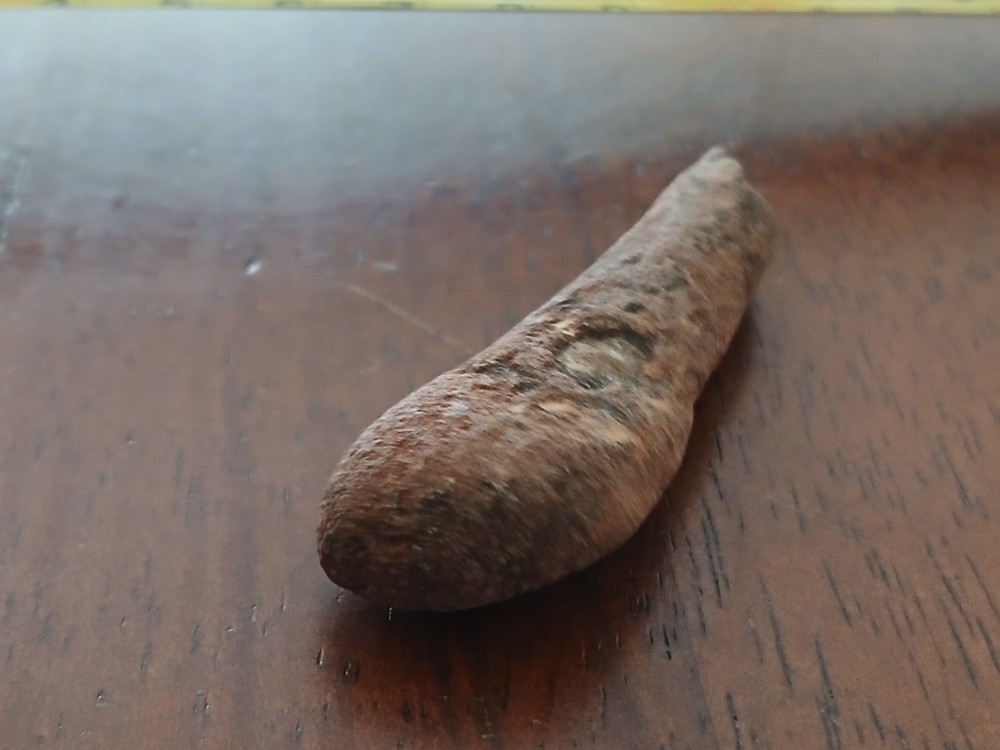 Fossilized bone Unknown specimen New Mexico