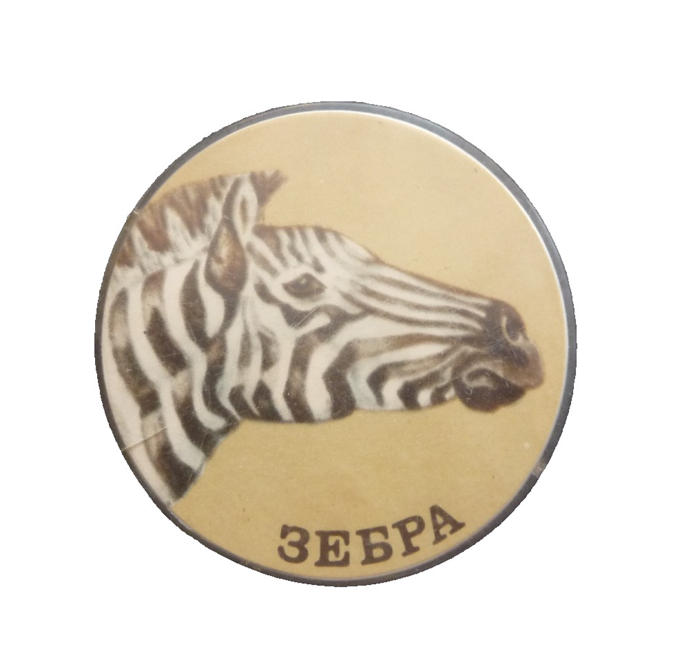 Set 2 Soviet USSR Badge Beautiful Zebra Head