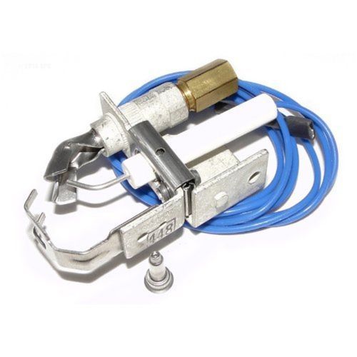 Raypak Swimming Pool Heater Propane & Natural Gas Pilot 002003F