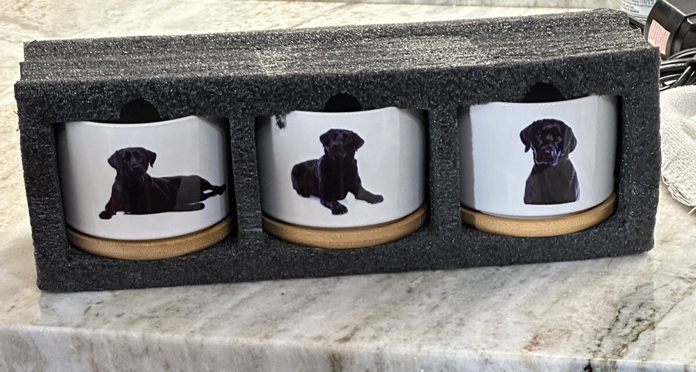 Set Of Tree Labrador Planters-Open Box-ceramic-Open Box/No Original Box