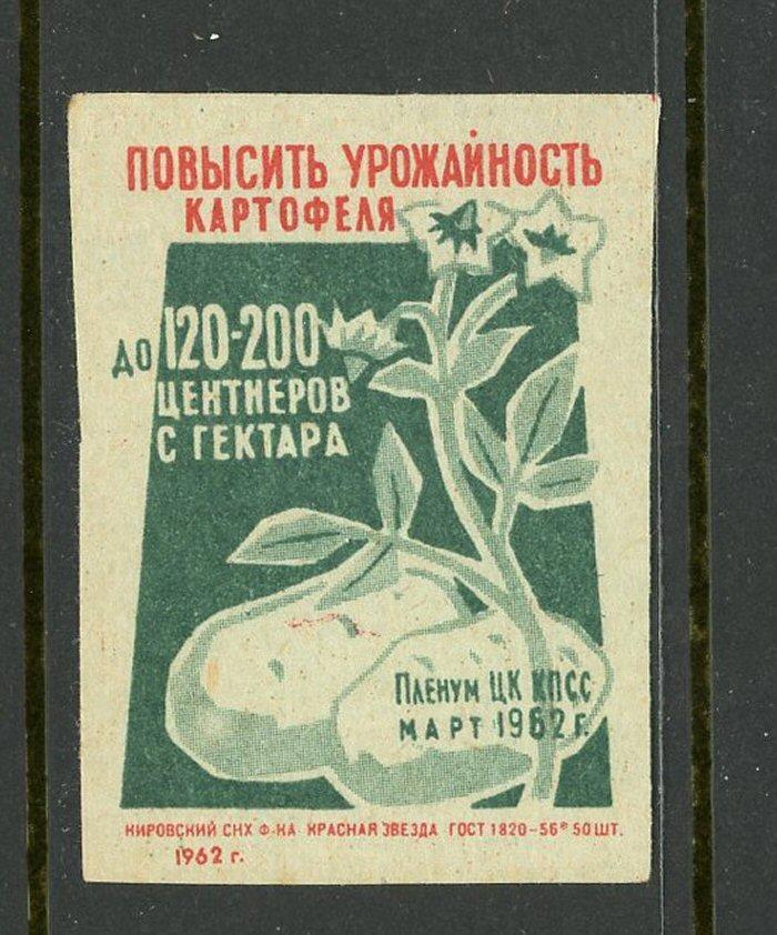 Increase Potato Yield Russian Match Box Label