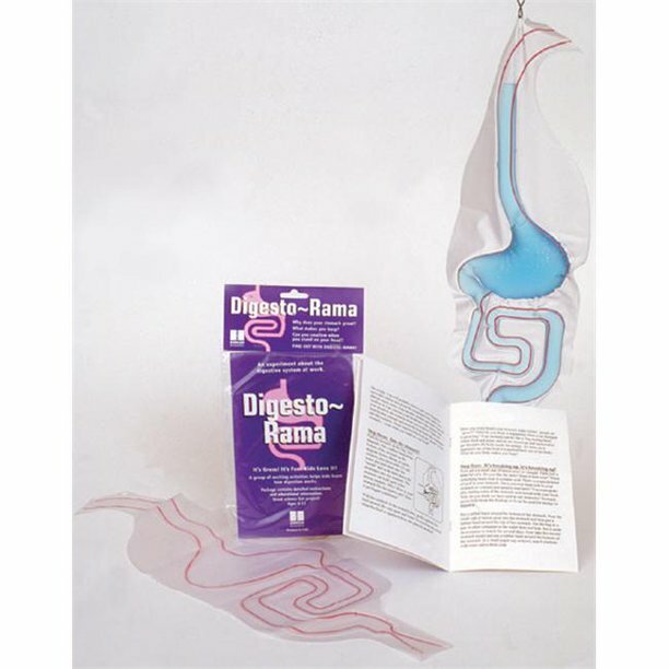 Digestorama
