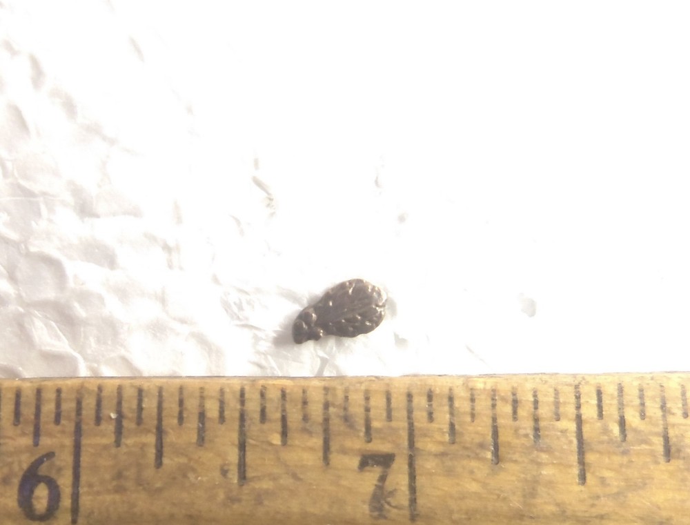 Bronze Oak Leaf Attachment for Metals