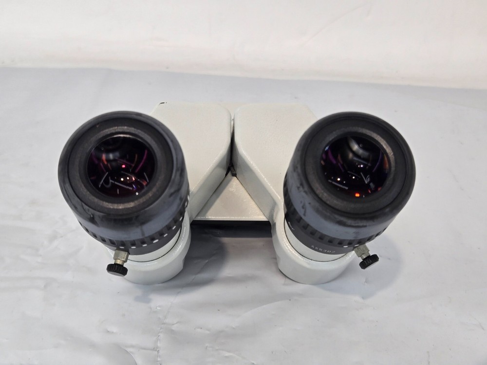 Wild Heerburg Microscope Binocular Head 25x9.5B