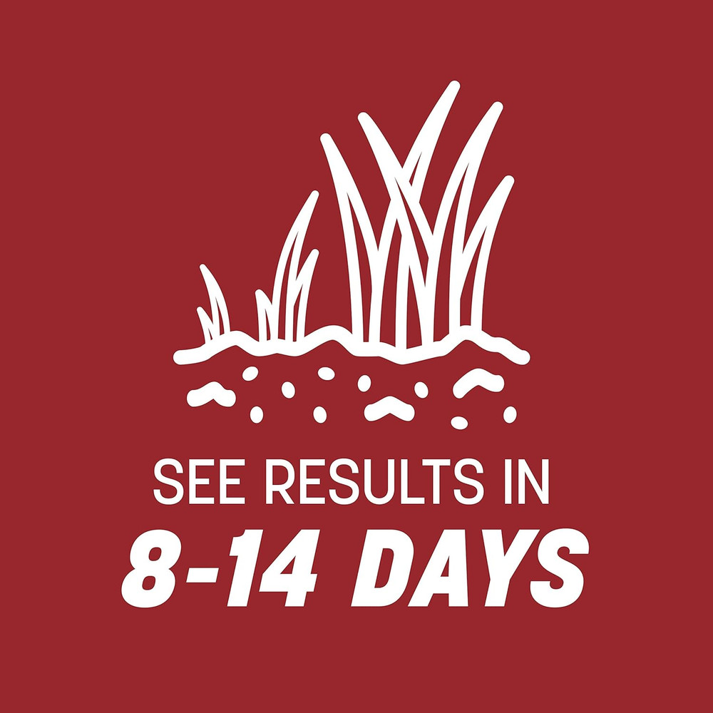 Smart Seed Perennial Ryegrass 3 lb