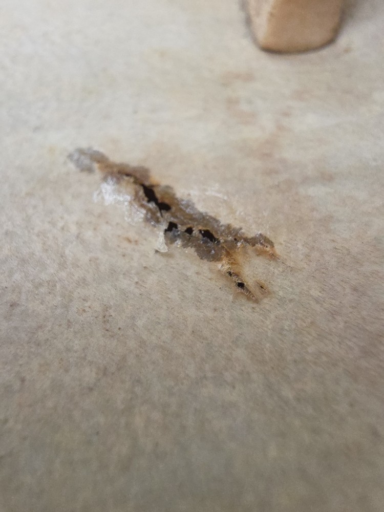 Dilruba W/ Bow(Not Pictured)