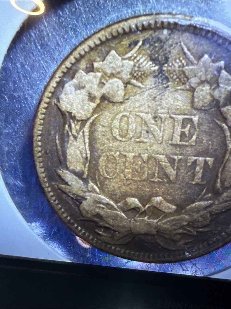 1858 Flying Eagle One Cent Large Letters Nice Coin