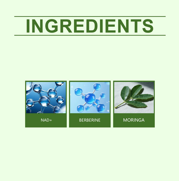 Moringa Berberine 10-in-1 Advanced Nano Microneedle Patch (8pcs/box)