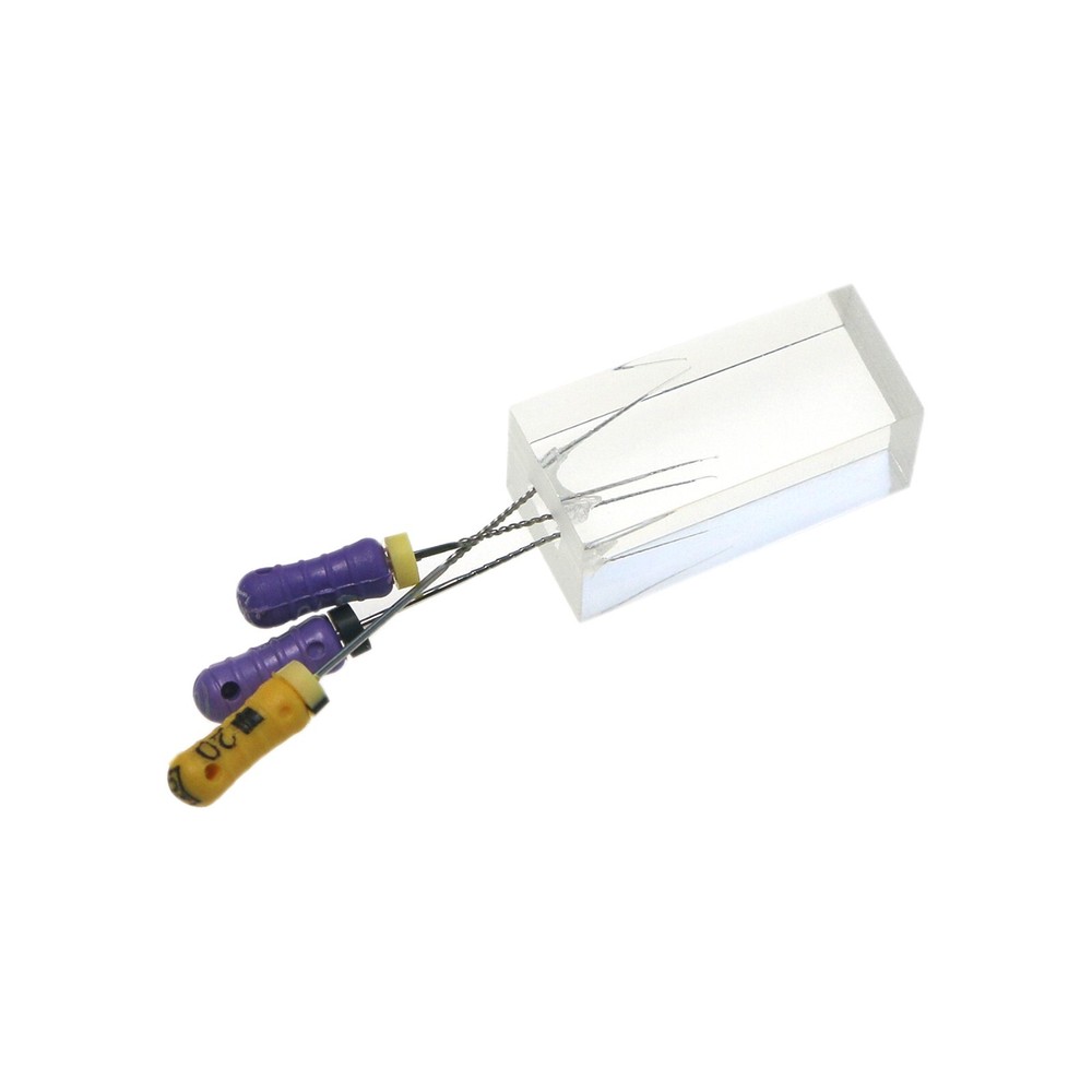 10pcs Dental Endodontic Practice Model 3 Root Canals Endo Training Block Clear
