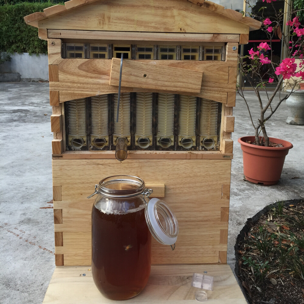 Beehive 7 Frames Complete Box Kit Bee Hives Auto Bee Frames + Beekeeping House