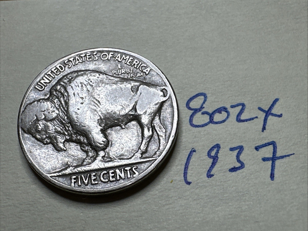 1937 5C Buffalo Nickel 744X