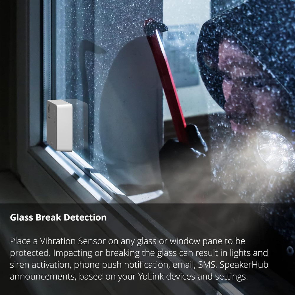 Lora Smart Vibration Sensor & Hub Starter Kit: Hub & Smart Shock, Glass Break, T