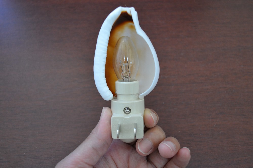 WHITE CONCH SEA SHELL NIGHTLIGHT PLUG IN OCEAN THEME