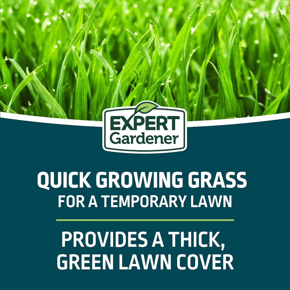 Grass Seed Mix for Sun to Partial Shade Coverage, 3 lb Bag