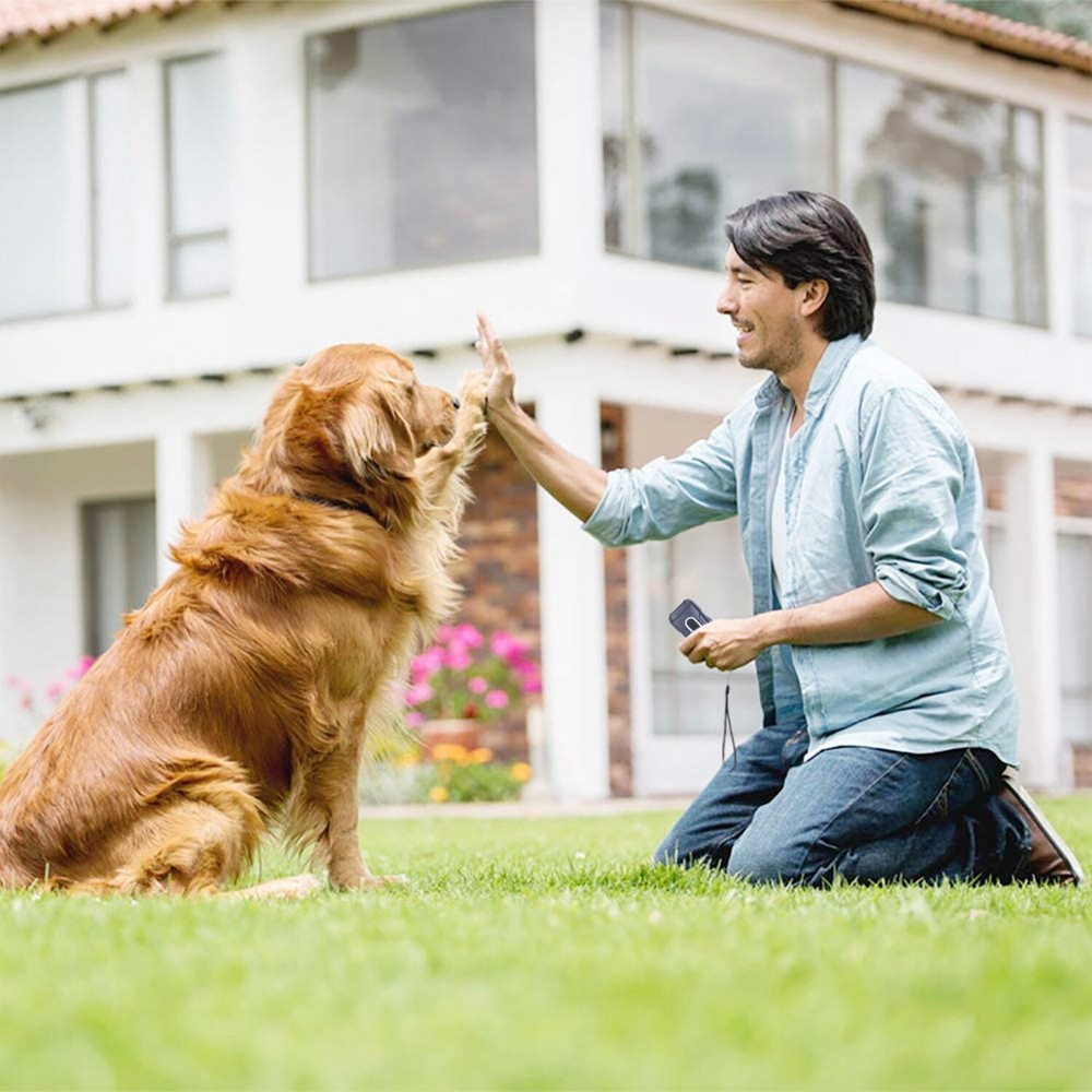 Ultrasonic Stop Barking Away Anti Bark Control with 4 Effective Modes LED Light