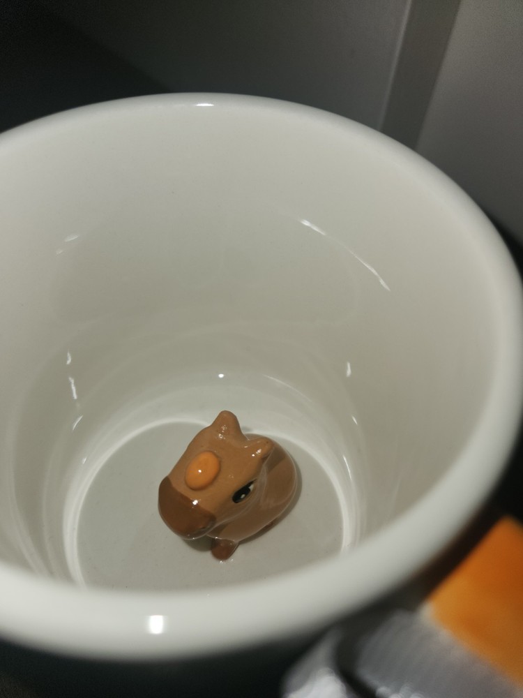 Capybara Mug Cup With Cute Capybara Bathing Inside SHIPS NOW