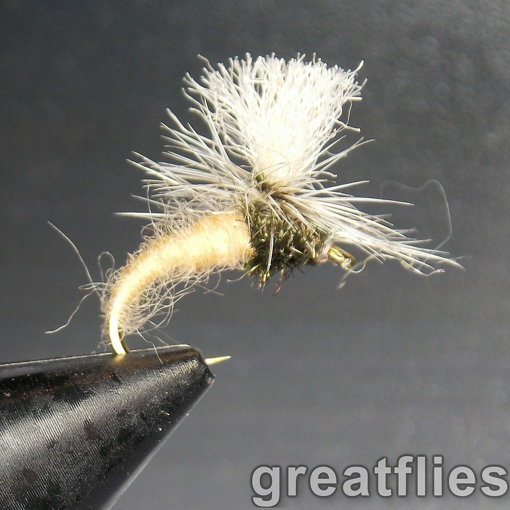 1 dozen (12) - Klinkhammer - TAN